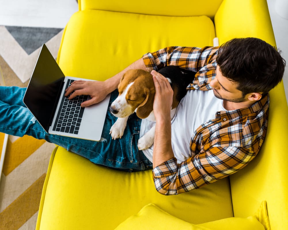 Resident working from home with their dog at Olympus Hudson Oaks in Hudson Oaks, Texas