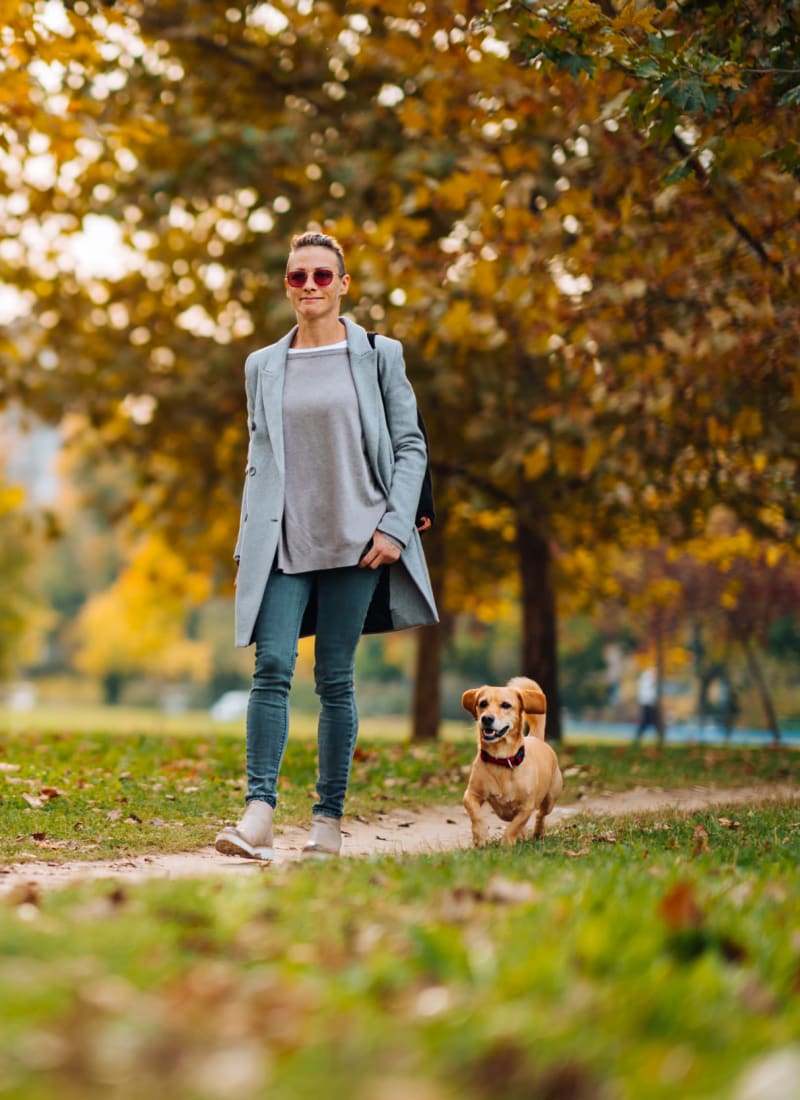 No pet weight limits at Marq on Burnet in Austin, Texas