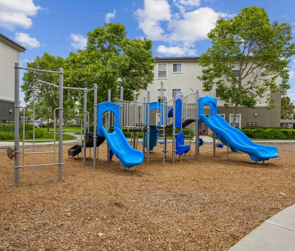 Resident playground ready for a day of fun at Avery at Moorpark in Moorpark, California