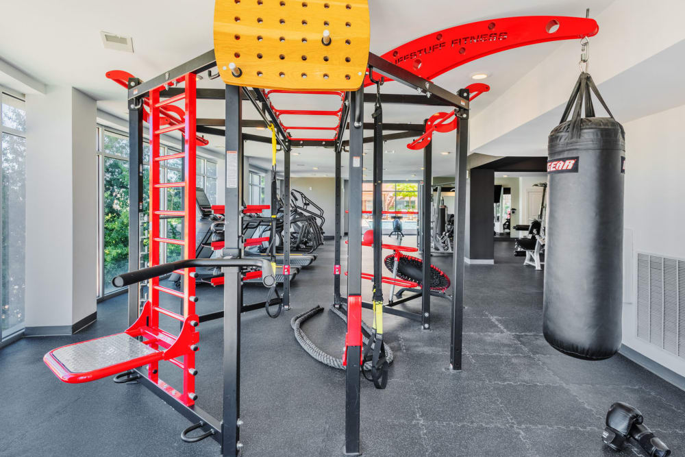 TRX equipment in the fitness center at District Flats in Charlotte, North Carolina
