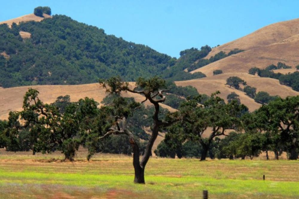 A park near Merrill Gardens at Gilroy in Gilroy, California