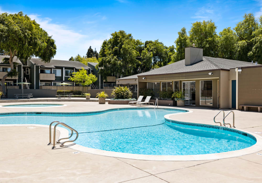 Large swimming pool ready for residents on a sunny day near Bidwell Park Fremont in Fremont, California