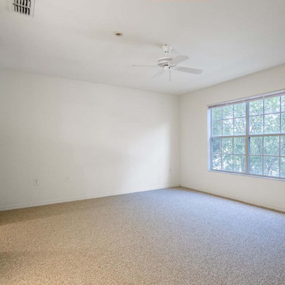 Bright bedroom with large windows at Clarcona Groves in Orlando, Florida