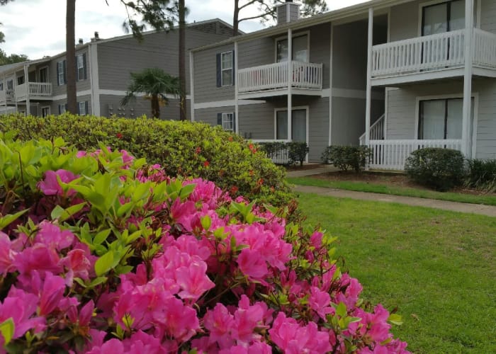 View of apartments at Park West in Mobile, Alabama