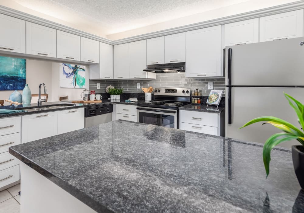 Modern kitchen with stainless steel appliances and granite countertops at Verse at Royal Palm Beach in Royal Palm Beach, Florida