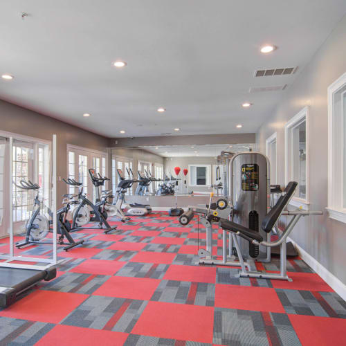 Resident fitness center at Villas at Princeton Lakes in Atlanta, Georgia