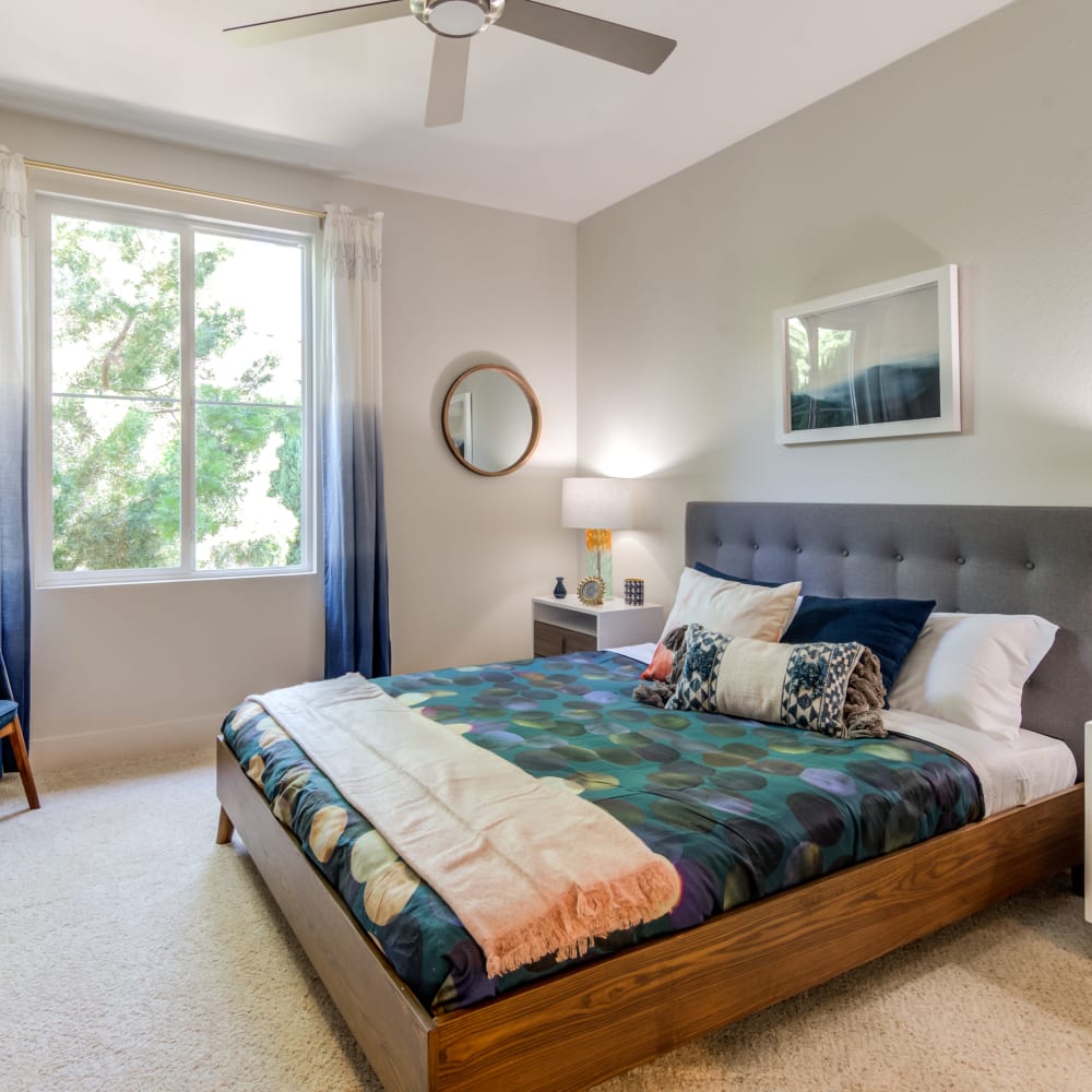 Spacious master bedroom in model home's bedroom at Sofi Shadowridge in Vista, California