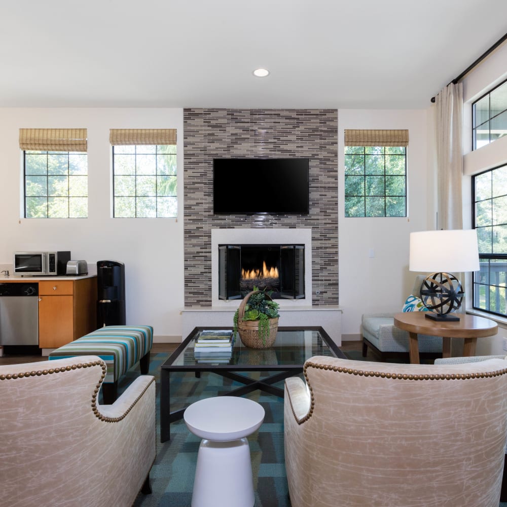 Open-concept living room with plush carpeting in a model home at Madison Sammamish Apartments in Sammamish, Washington