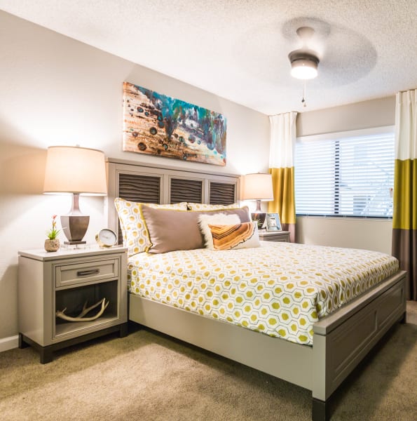 Cozy bedroom decorated with vibrant colors at 4127 Arcadia in Phoenix, Arizona