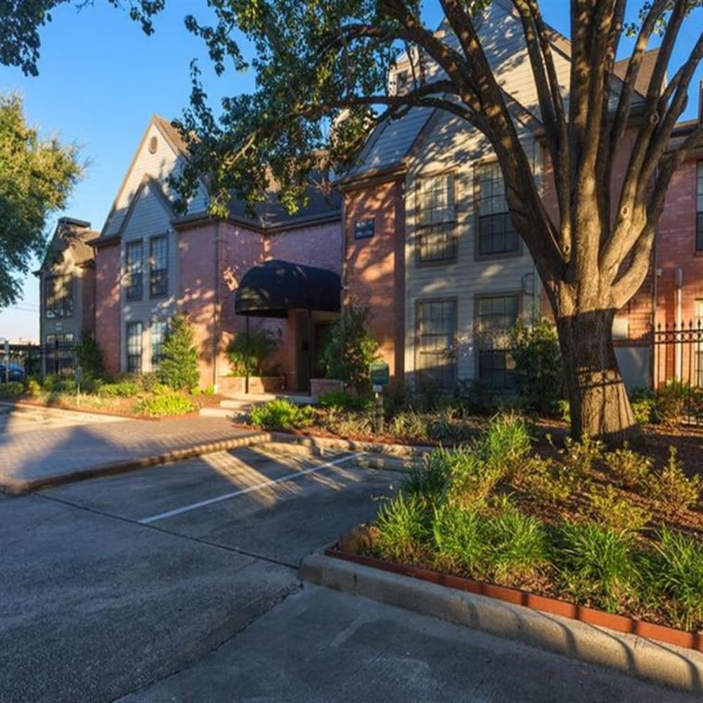 Photos of McAlister in Webster, Texas