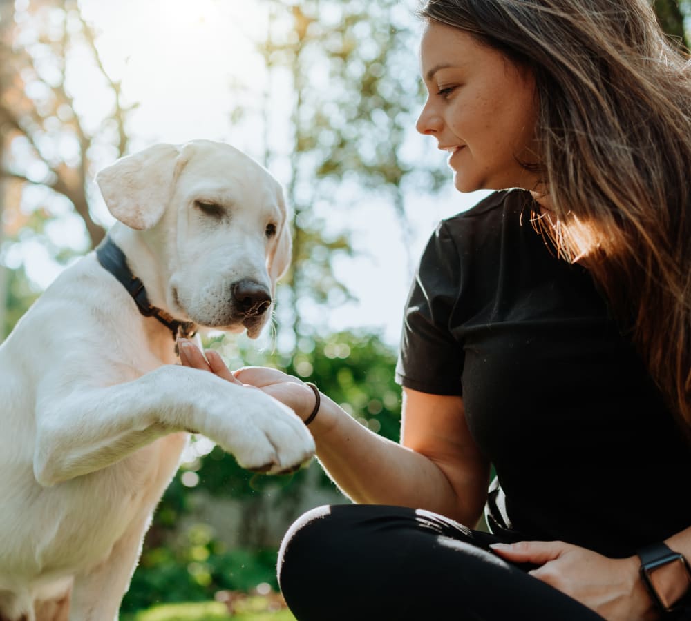 A dog and their parent at 6600 Main in Miami Lakes, Florida