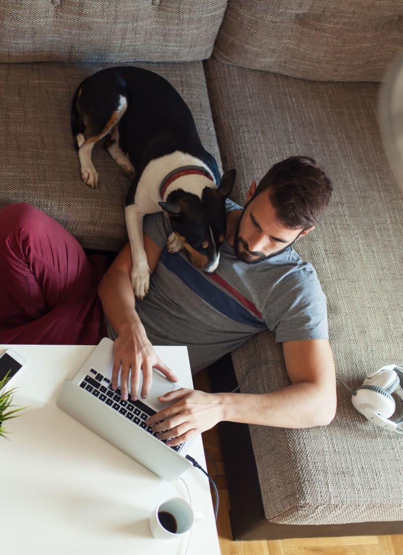 Two pets maximum per apartment at The Nash in Dallas, Texas