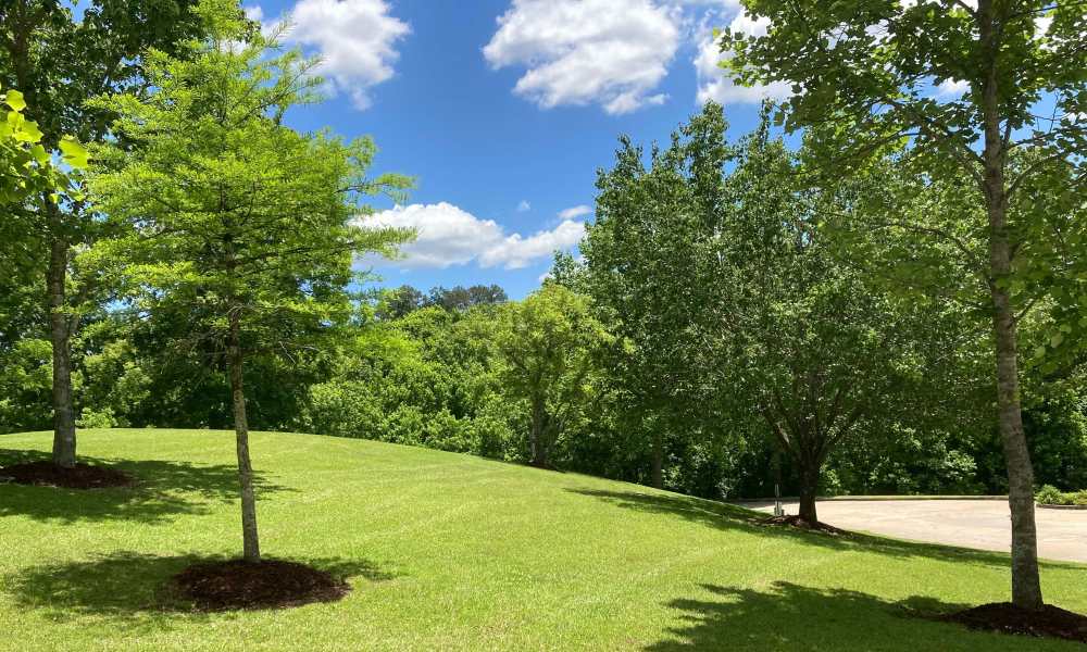 Lush landscaping at Cannongate Apartments in Vicksburg, Mississippi