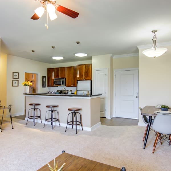 Spacious model apartment at The Carlton at Greenbrier, Chesapeake, Virginia