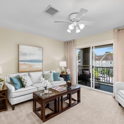 Apartment with plush carpeting at Columbus Station Apartments at Town Center, Virginia Beach, Virginia