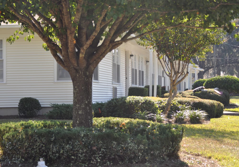 Residential housing at St. Johns Landing Apartments in Green Cove Springs, Florida