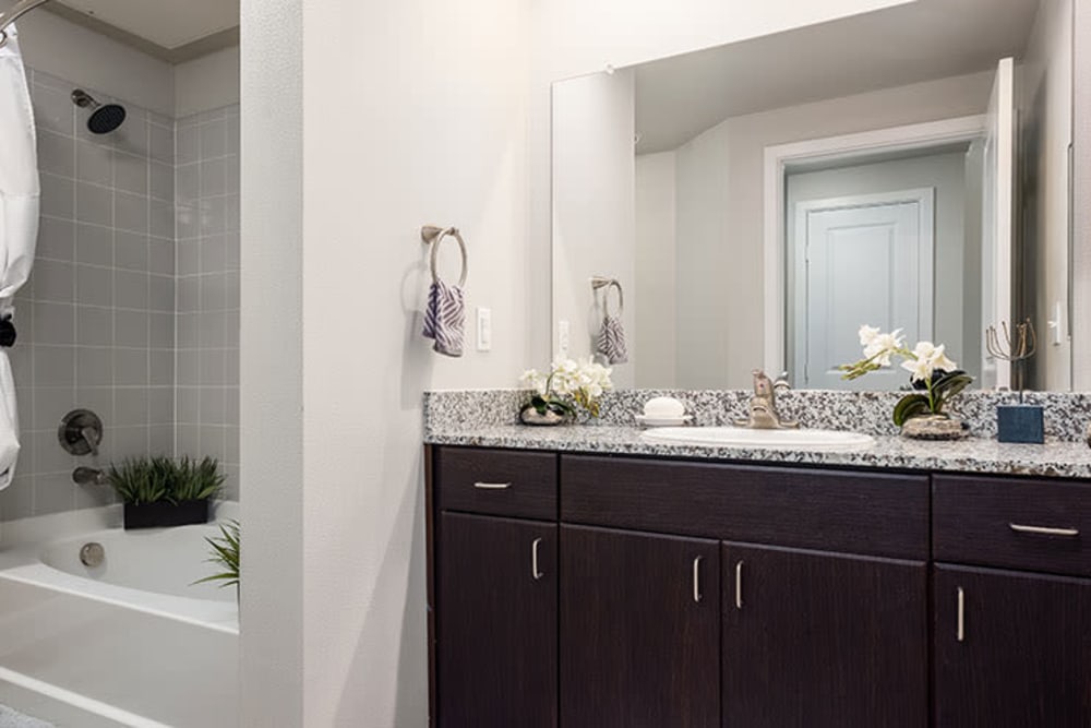 Spacious bathroom in apartment home at Addison Keller Springs in Addison