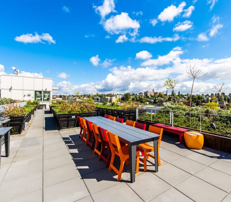 Community rooftop outdoor lounge at Anthem on 12th in Seattle, Washington
