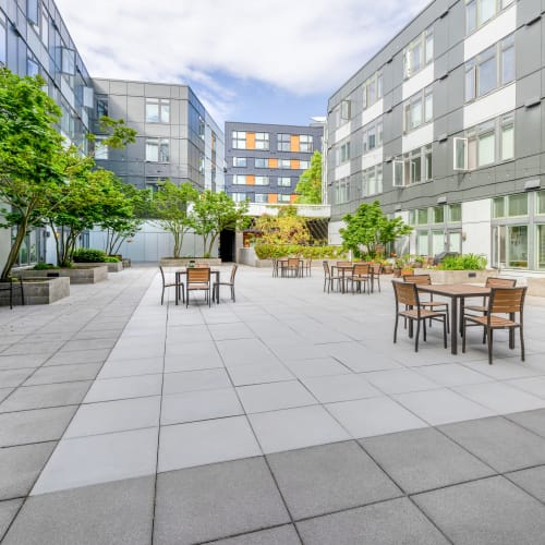 Tables and chairs in the courtyard at Circa Greenlake in Seattle, Washington