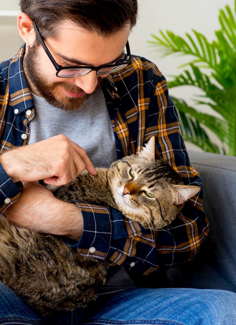Pet fees at Marquis at Deerfield in San Antonio, Texas
