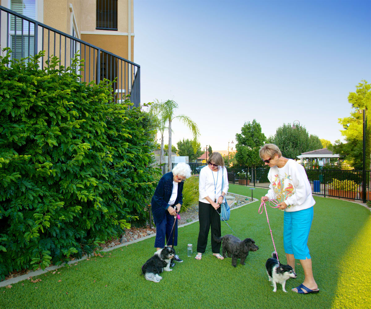 Residents walking their dogs at Meridian at Lake San Marcos in San Marcos, California