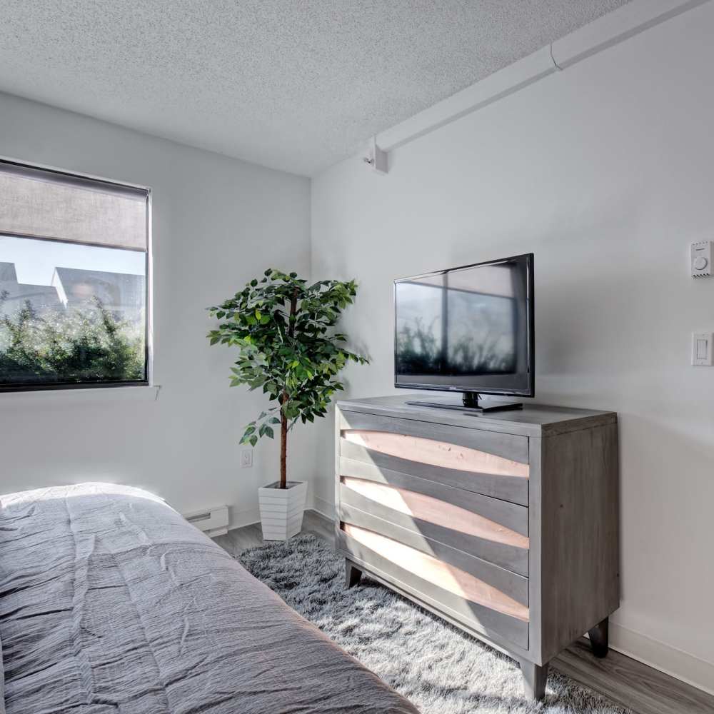 Lively plant and TV in the bedroom at The Otis in Dallas, Texas