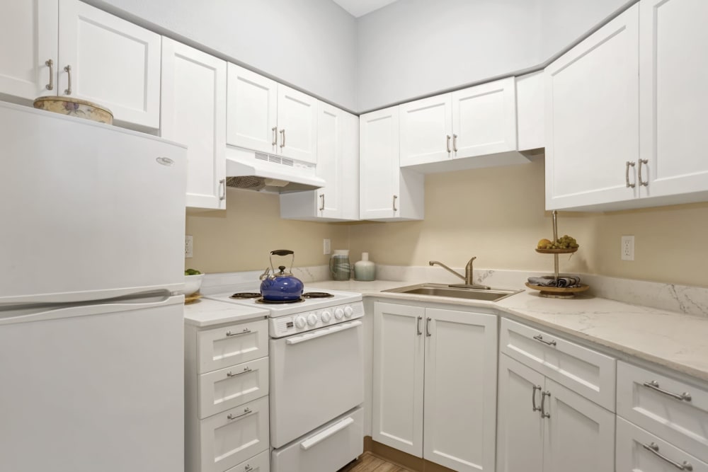 Kitchen in apartment at Island House in Mercer Island, Washington
