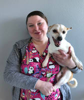 Alyison LaVigne, Hospital Manager at Value Pet Clinic - Renton in Renton, WA