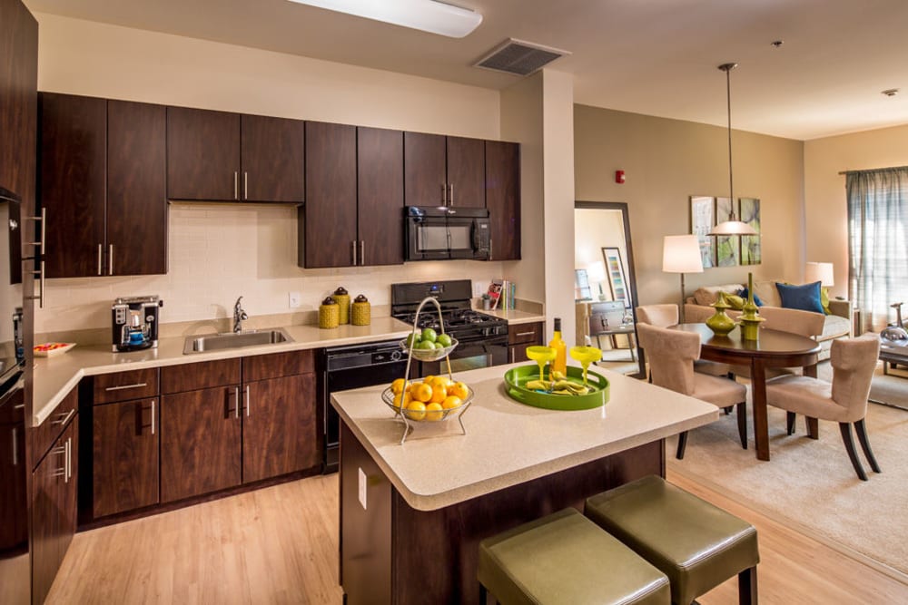 Kitchen with stainless steel appliances at The Grove Somerset in Somerset, New Jersey