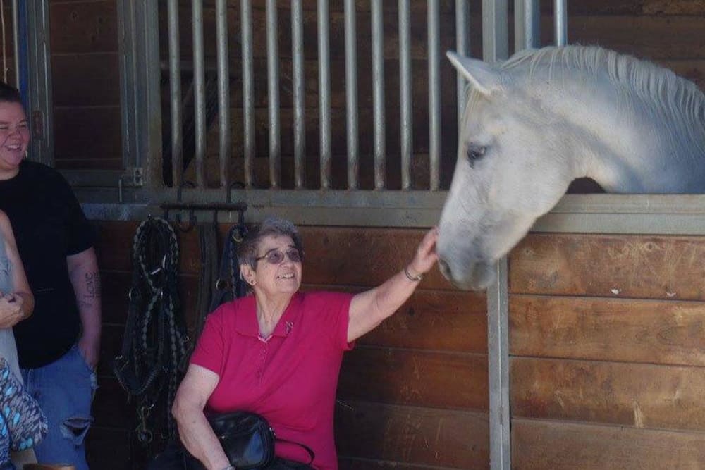 Happy resident petting a horse at an outing with Roseville Commons Senior Living in Roseville, California