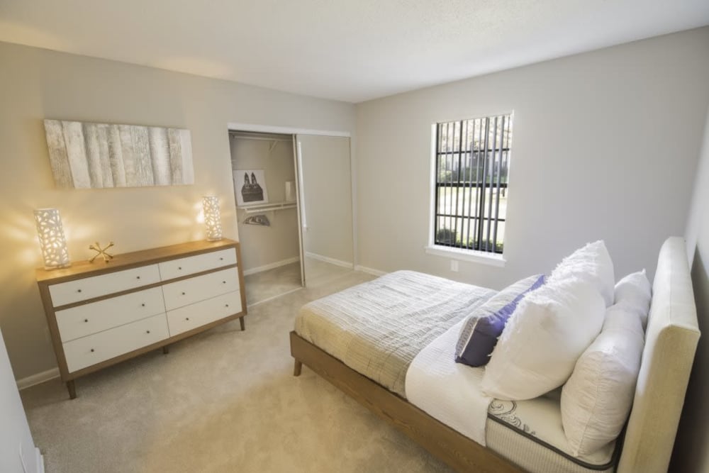 Spacious bedroom with carpeted floors and light decor to go with all the natural light at Berkshire 54 in Carrboro, North Carolina