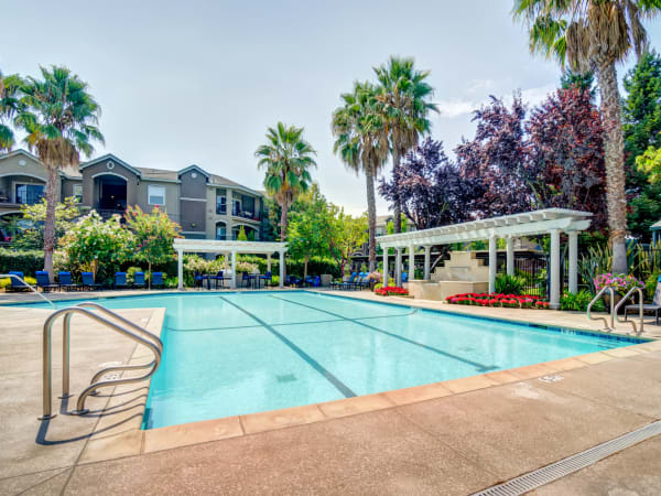 Pool view with palm trees and lush landscaping at Hawthorn Village Apartments in Napa