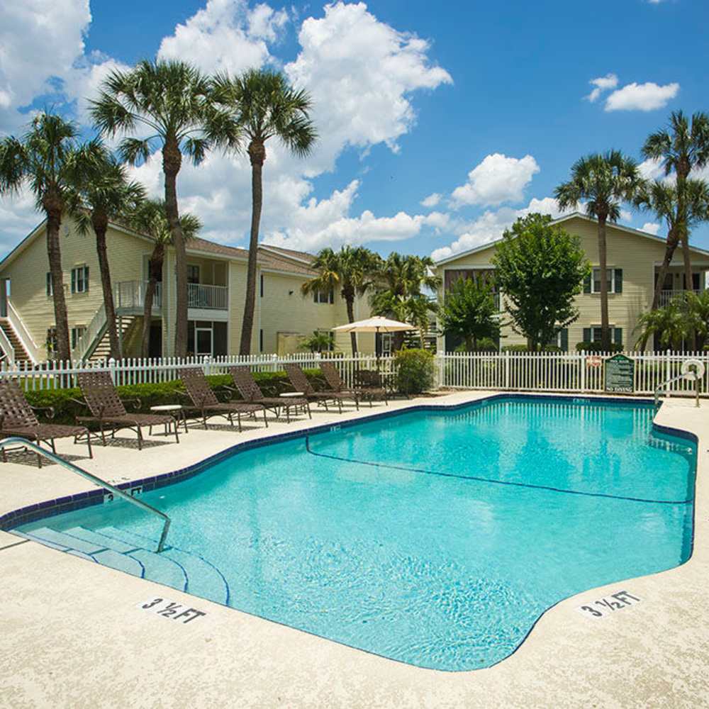 Charming poolside oasis featuring a sparkling water pool surrounded by lush landscaping at Park Place Apartments in Port Richey, Florida.