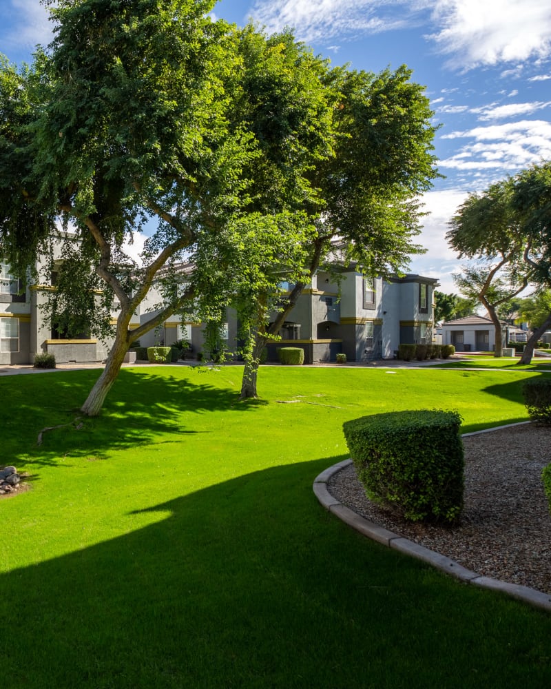 Lush landscaping at Tamarron, Phoenix, Arizona