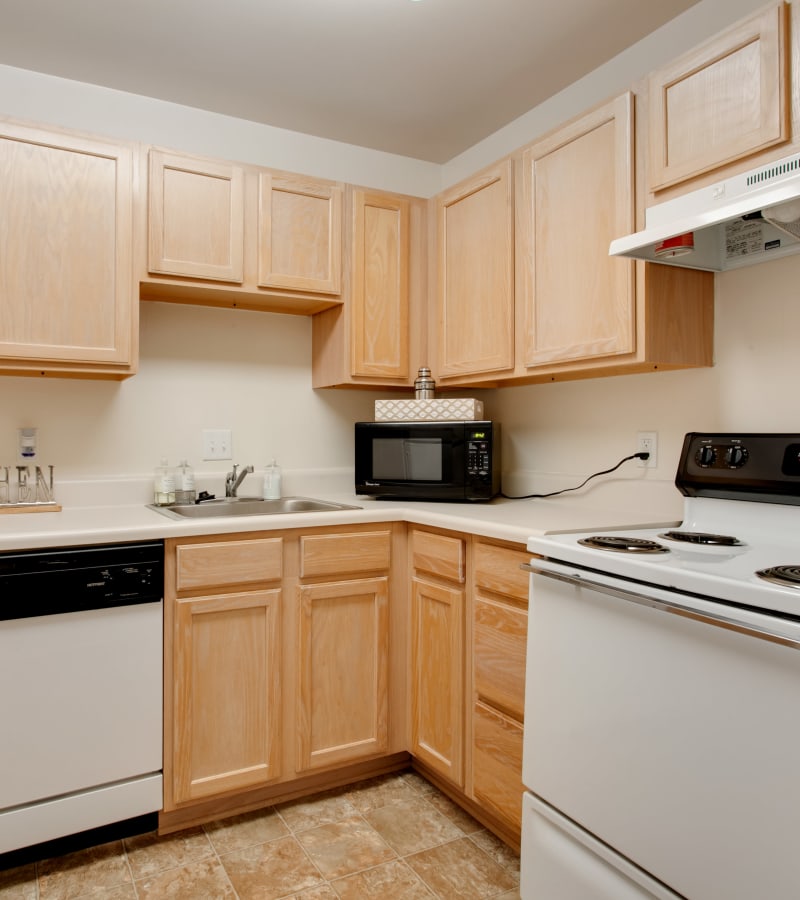 Kitchen with stove and dishwasher at Chelsea at Lee Hall in Newport News, Virginia