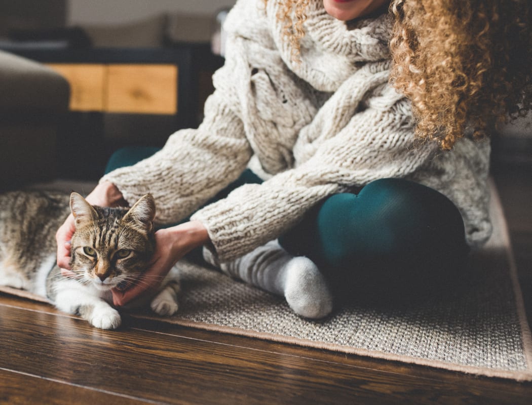 Resident petting her cat at Appletree Apartments in Campbell, California