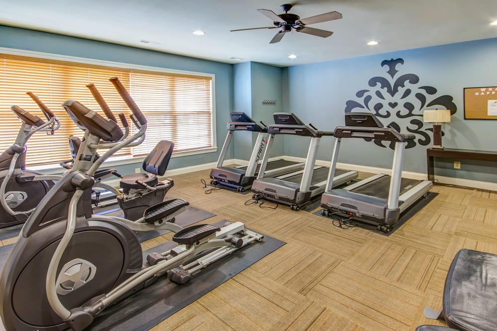 Full state of the art fitness center at Aspen Pines Apartment Homes in Wilder, Kentucky