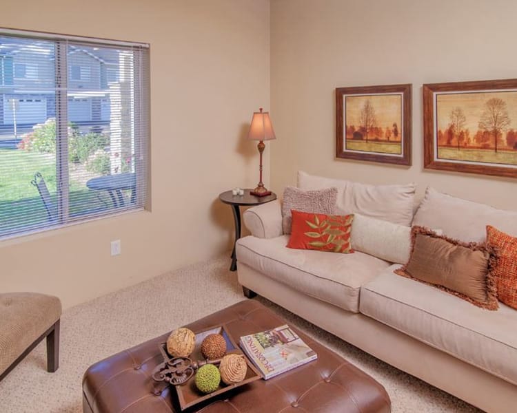 Luxury living room at Selway Apartments in Meridian
