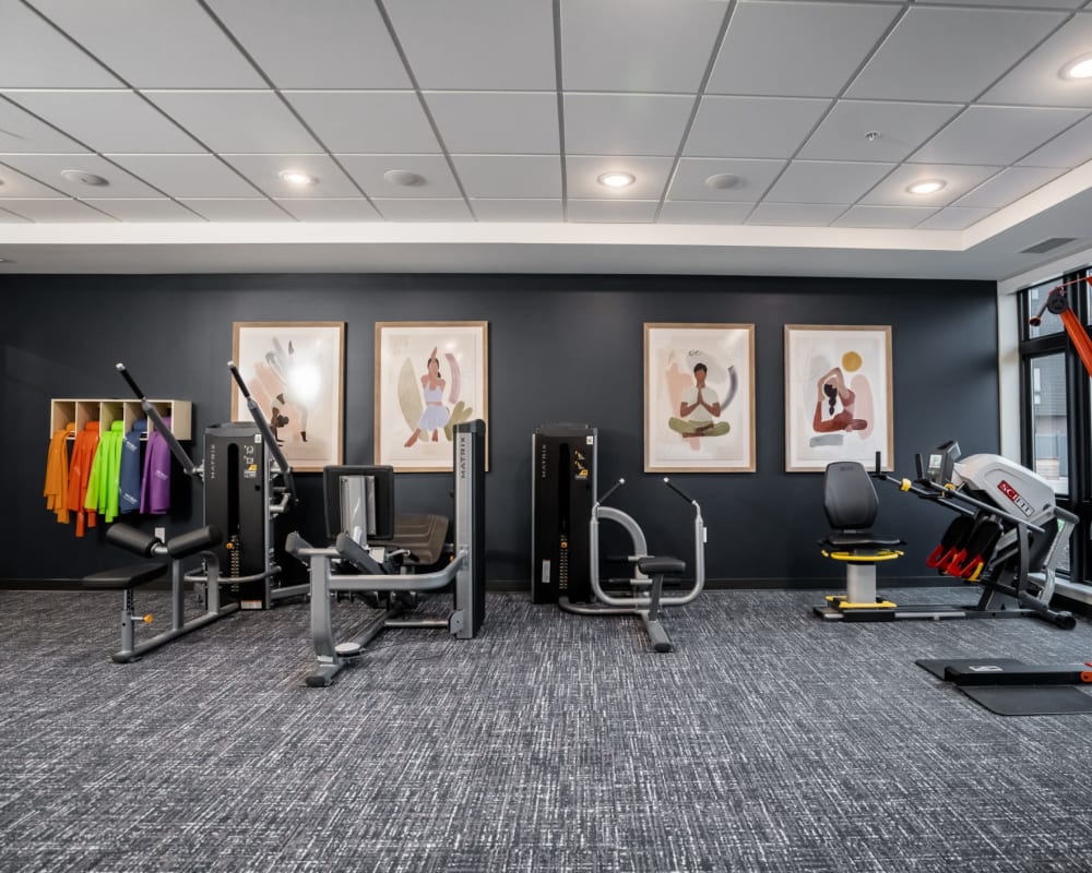 Spacious community gym with weight machines at The Pillars of Hermantown in Hermantown, Minnesota