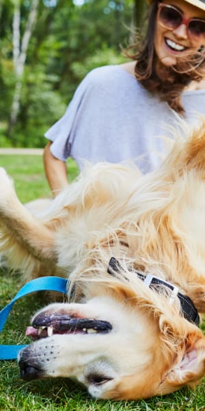 Resident and her dog enjoying the day at the park near Alize at Aliso Viejo Apartment Homes in Aliso Viejo, California