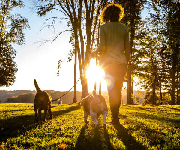 Pet-friendly at The Abbey at Eagles Landing in Stockbridge, Georgia