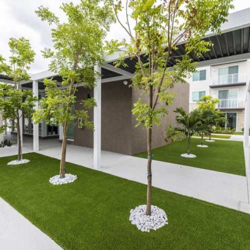 Lawn inside the community apartments at Amelia Apartments in Miami, Florida