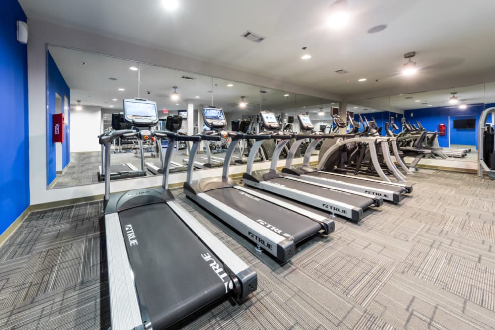 Cardio machines lined up in front of mirrors at Marq Eight in Atlanta, Georgia