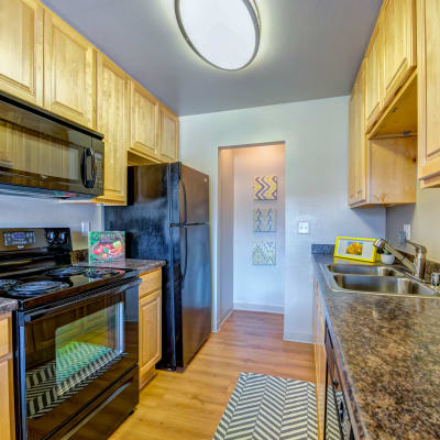 Modern kitchen with sleek black appliances and a dual-basin sink in a model home at Sofi Laguna Hills in Laguna Hills, California