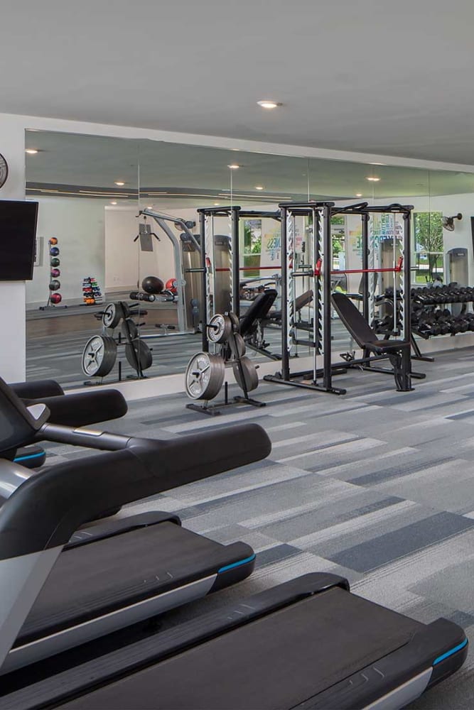 Fitness Center at The Reserve at White Oak in Baton Rouge, Louisiana