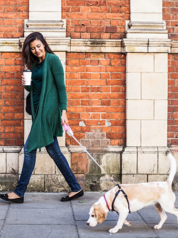 Resident walking her dog at The Aeronaut in Weymouth, Massachusetts