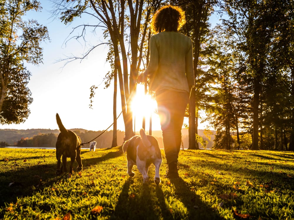 A resident at the park with her dogs at Reserve at Lindsay in Louisville, Kentucky