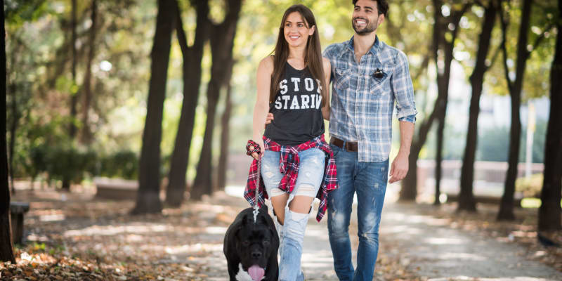 residents out walking their dog at Foxville Gardens in Sabillasville, Maryland