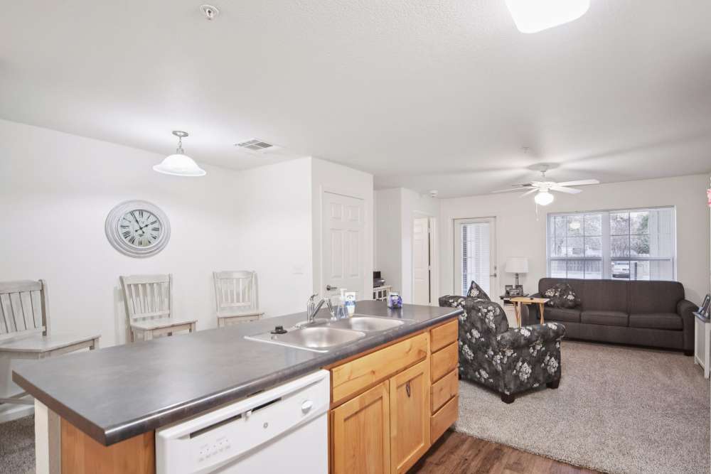 Modern open-concept kitchen and cozy living room with natural light at Villas At Meadow Springs in Ankeny, Iowa