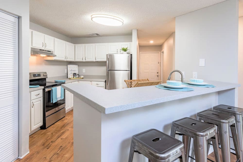 White cabinets in an apartment kitchen at Mode at Ballast Point in Tampa, Florida